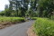 bikes-1-on-the-new-rrg